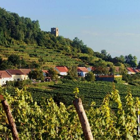 Prabatsch-Aichinger Winzergut Lägenhet Langenlois Exteriör bild