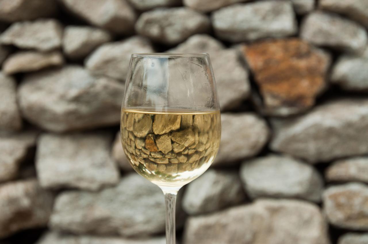Prabatsch-Aichinger Winzergut Lägenhet Langenlois Exteriör bild