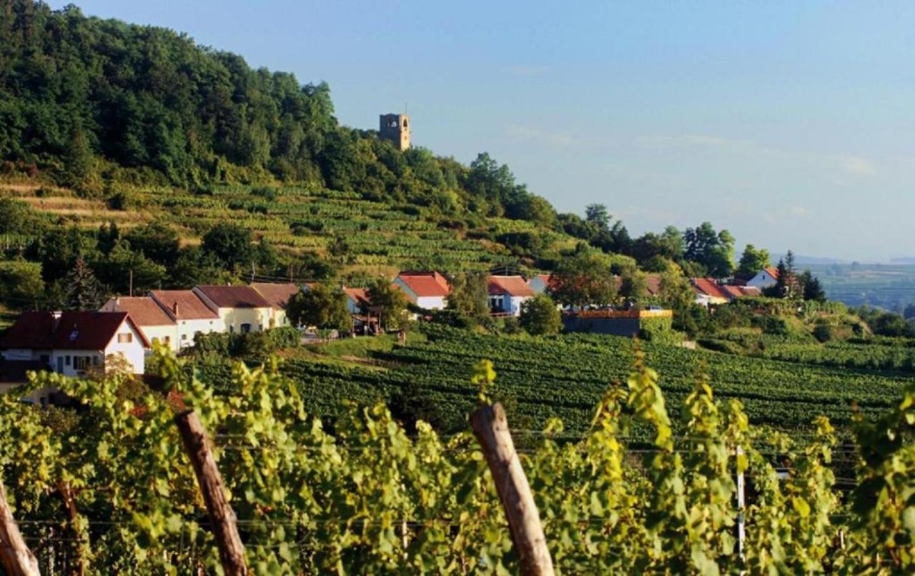 Prabatsch-Aichinger Winzergut Lägenhet Langenlois Exteriör bild